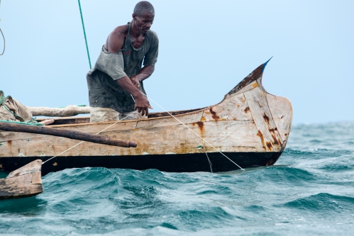 Image from Traditional shark fishing -                 
                