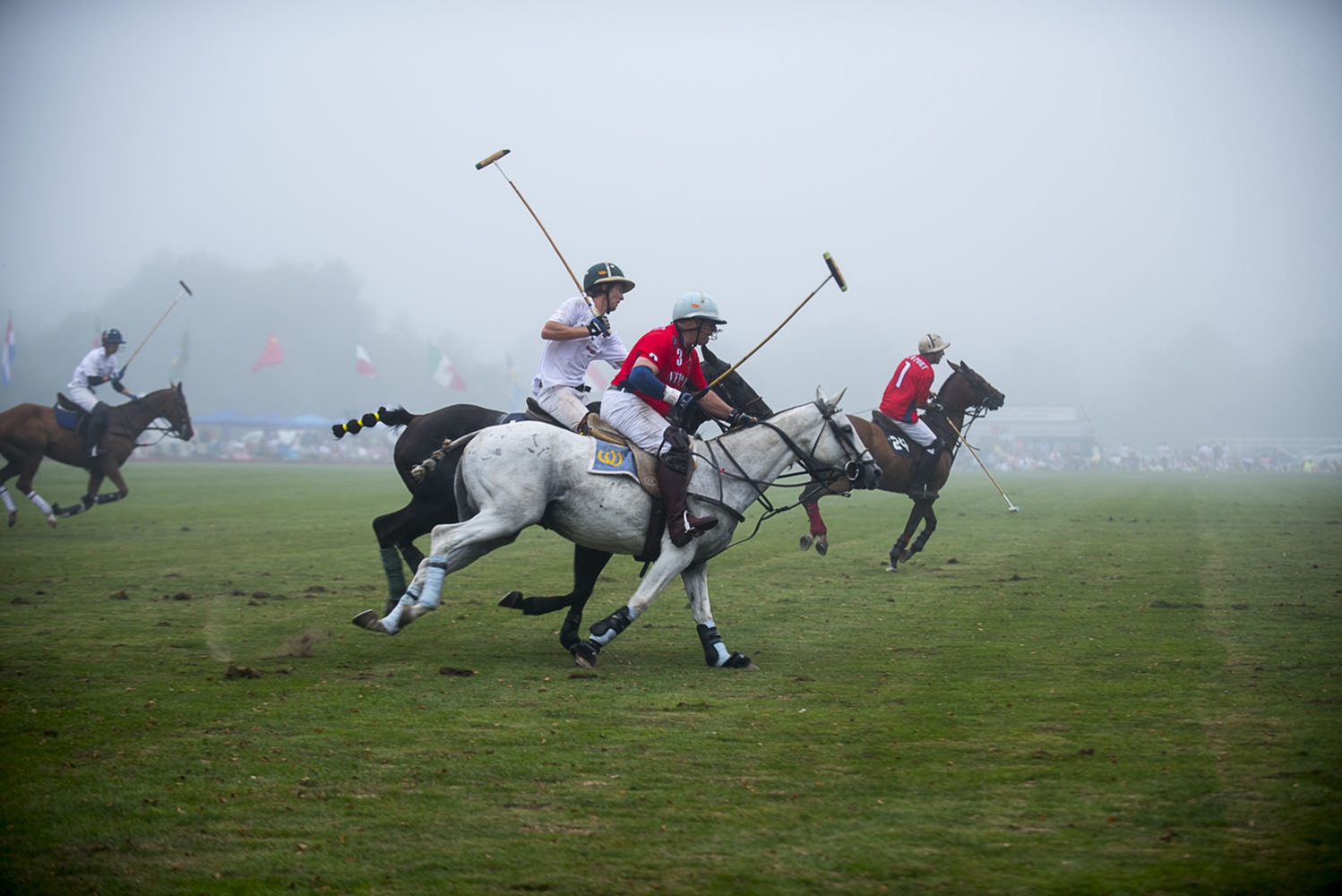 Art and Documentary Photography - Loading _DSC8655_B.jpg