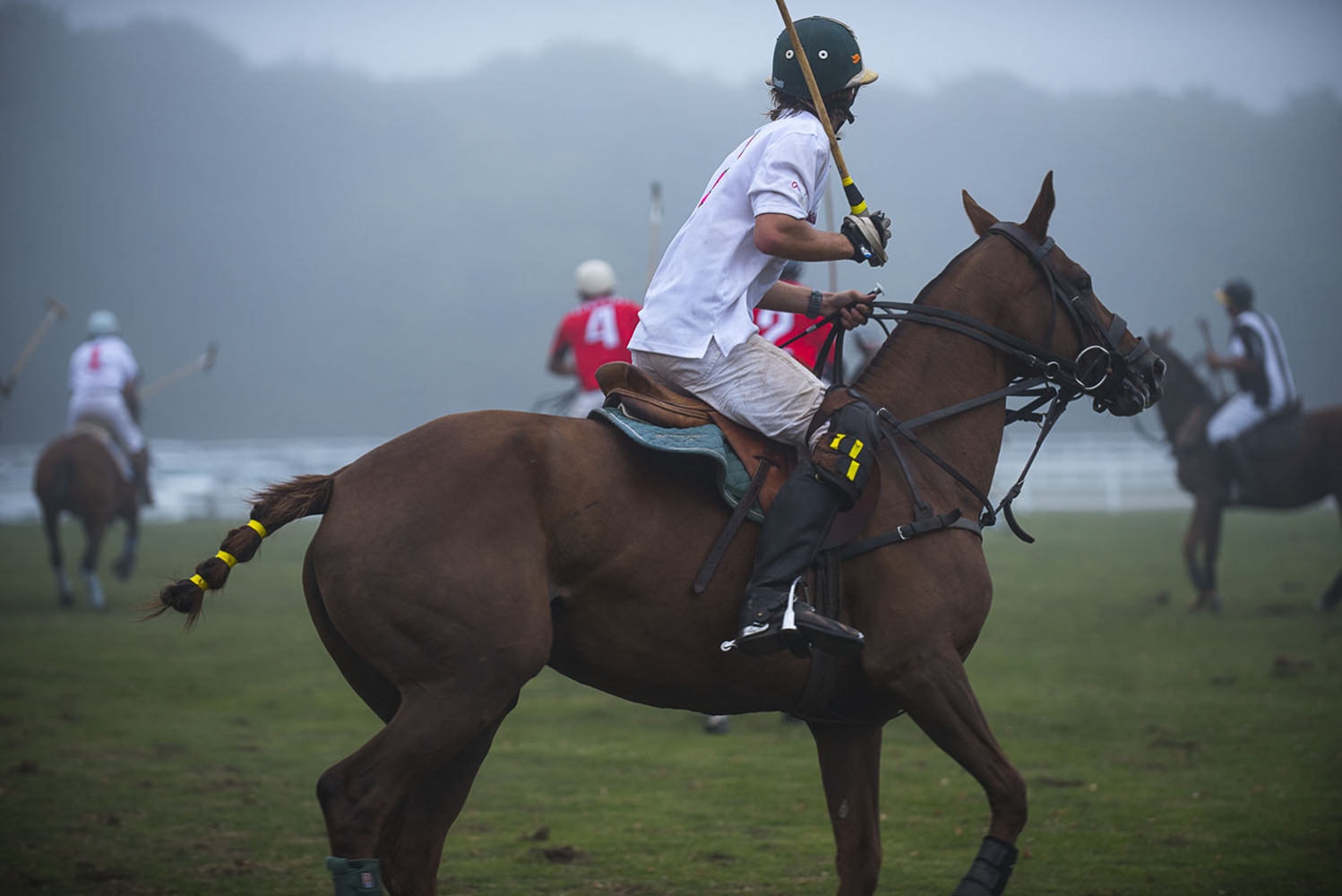Art and Documentary Photography - Loading _DSC8669_B.jpg