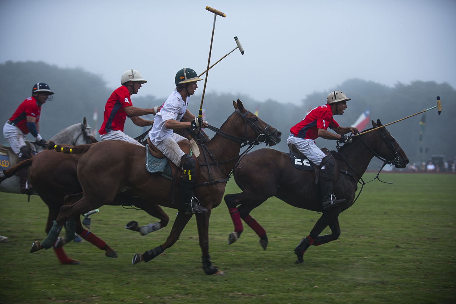 Art and Documentary Photography - Loading _DSC8681_B.jpg