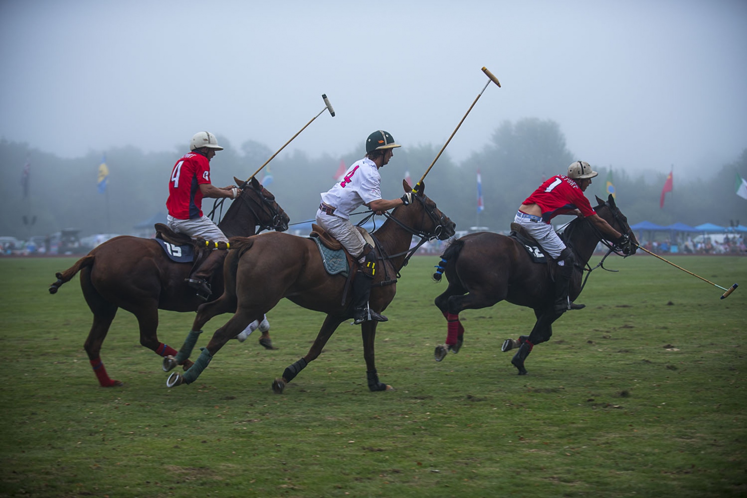Art and Documentary Photography - Loading _DSC8683_B.jpg
