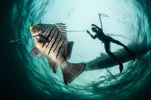 Image from Fishing on the edge - ...