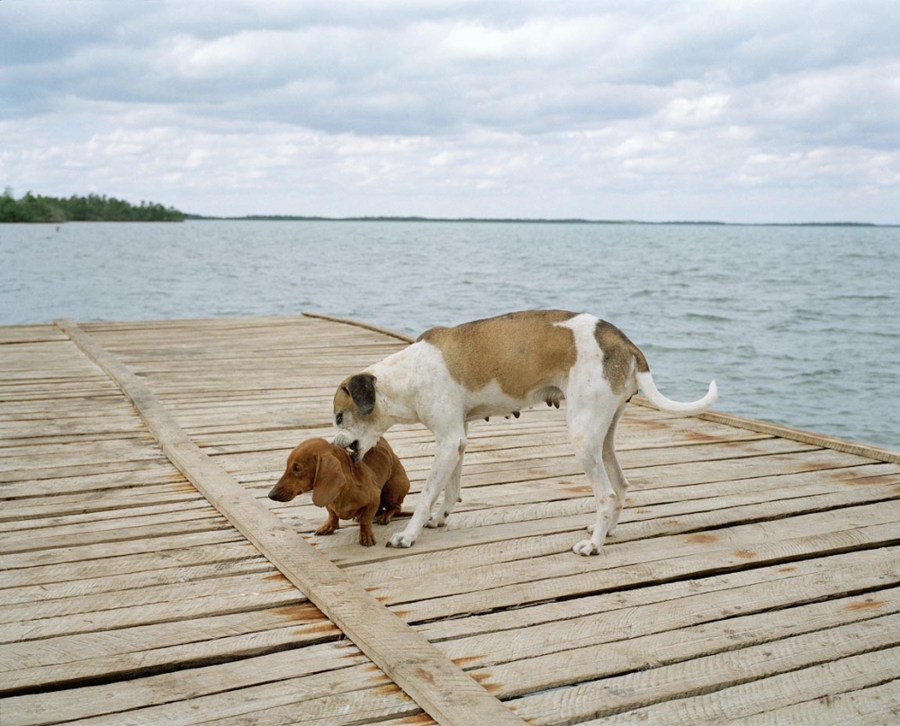 Image from Cuba - Puerto Esperanza, Cuba, 2010