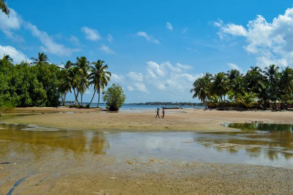 Kwadwo Buenortey Agbongua | Images