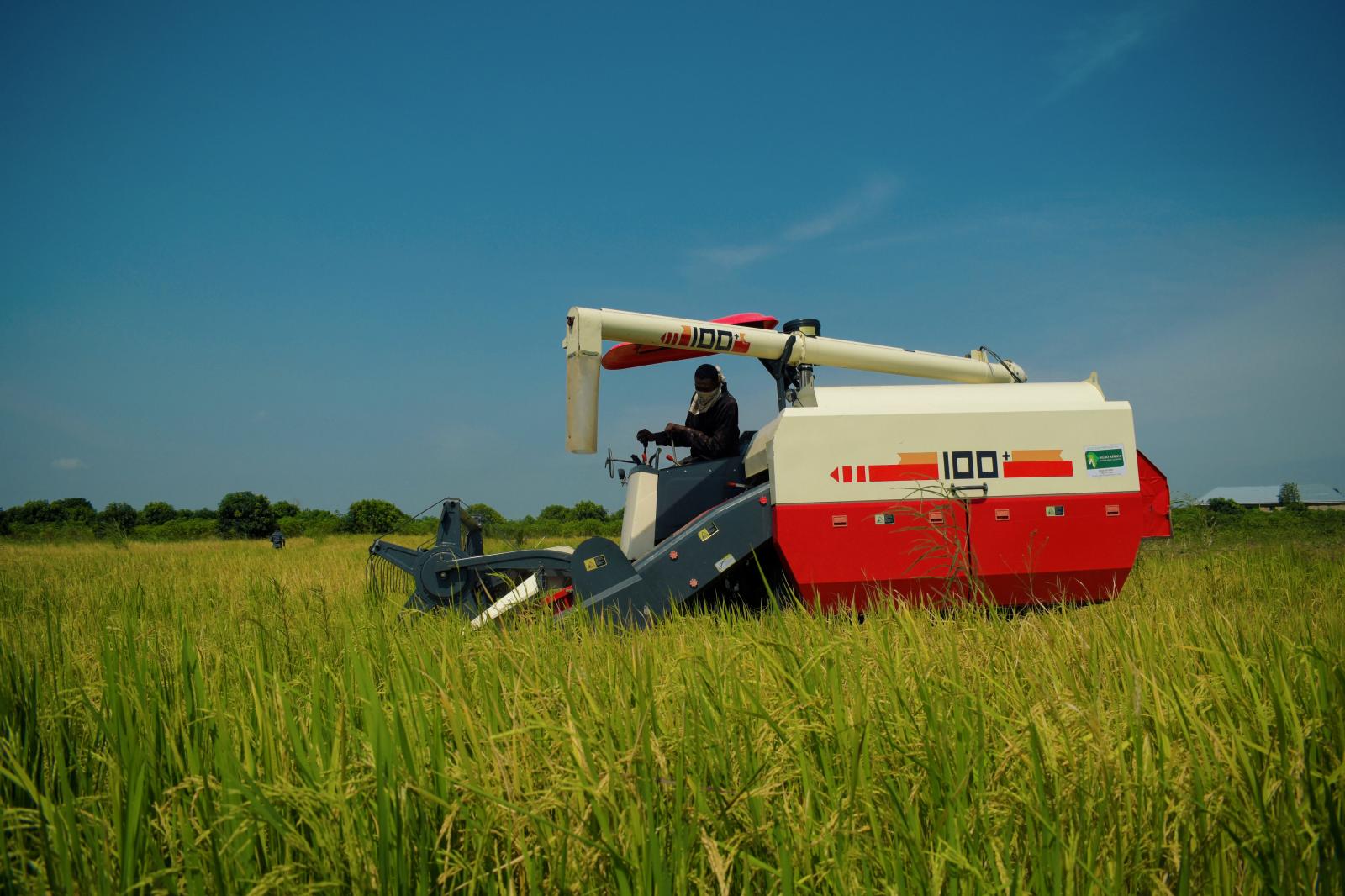COMBINE HARVESTER 