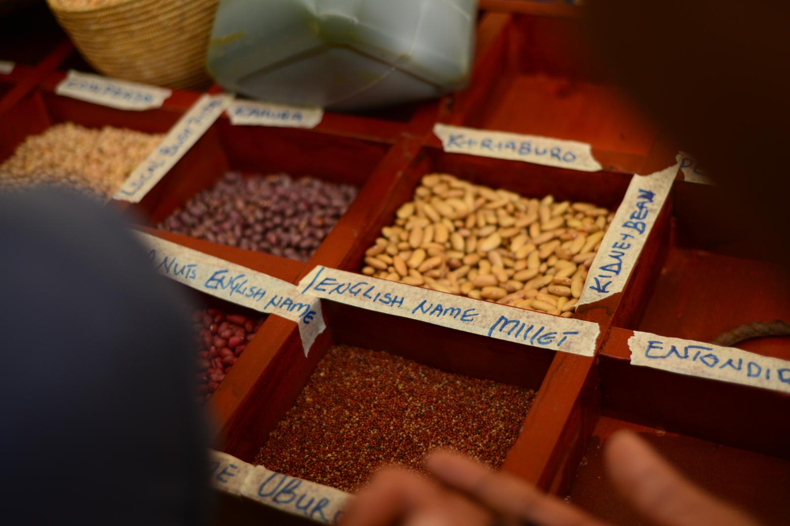 oburo(millet) 
