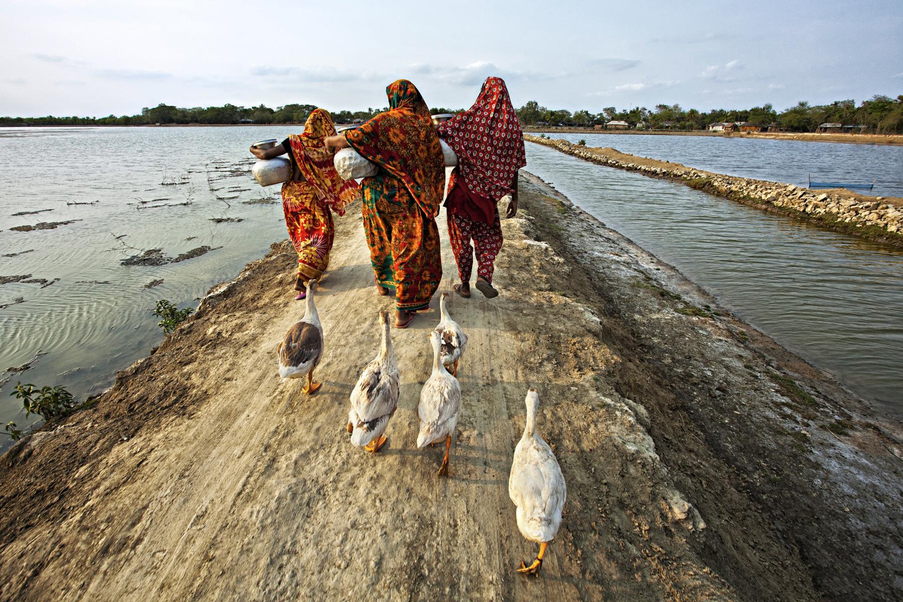 Muhammad Mostafigur Rahman | Images