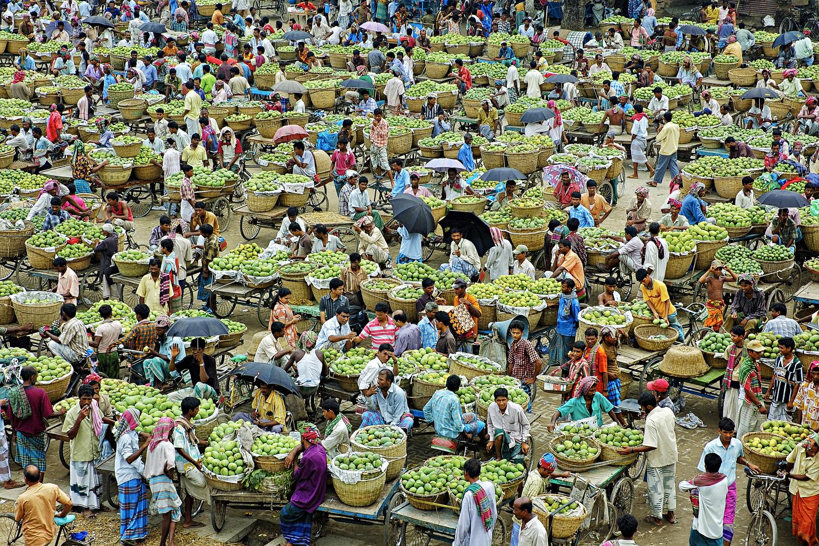 Kingdom of Mangoes