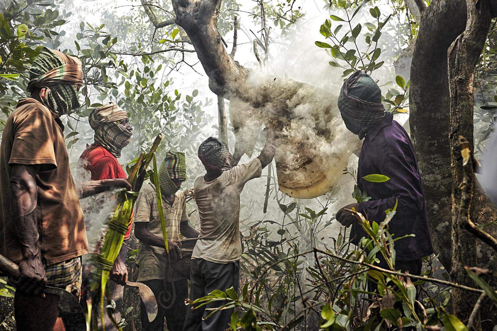 The Perilous Harvest