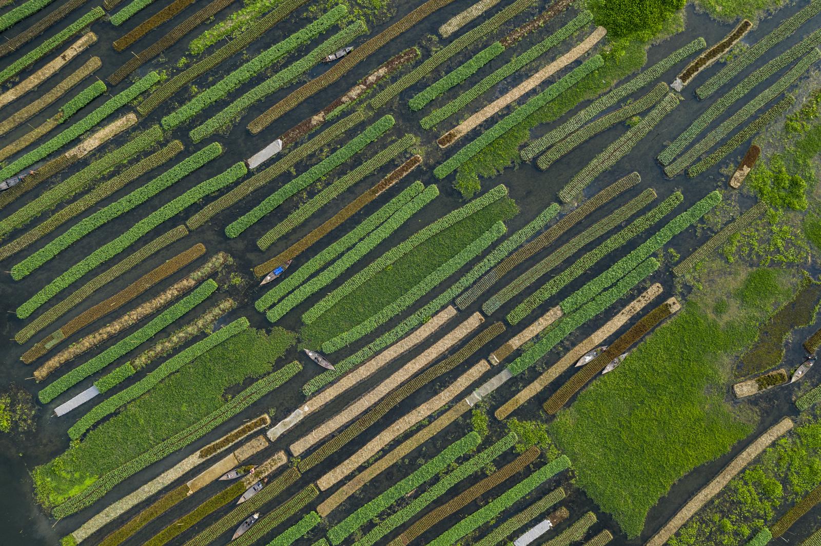 Sowing Sustainability on Water