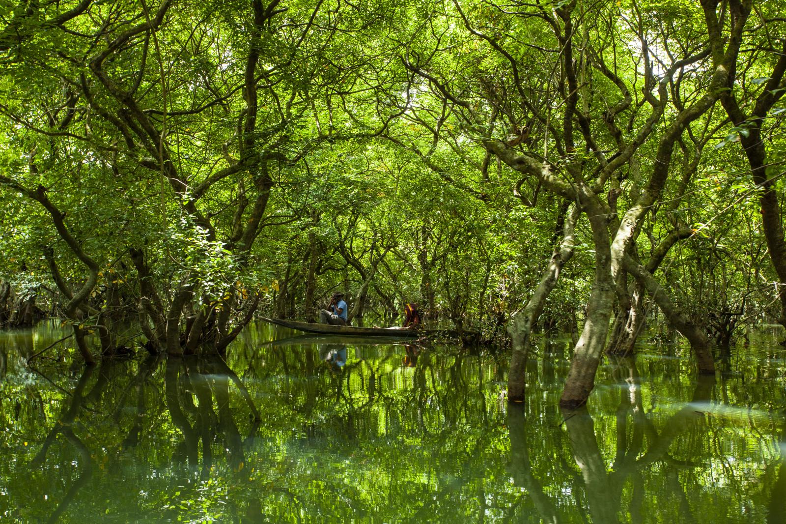 Monsoon Magic at Ratargul