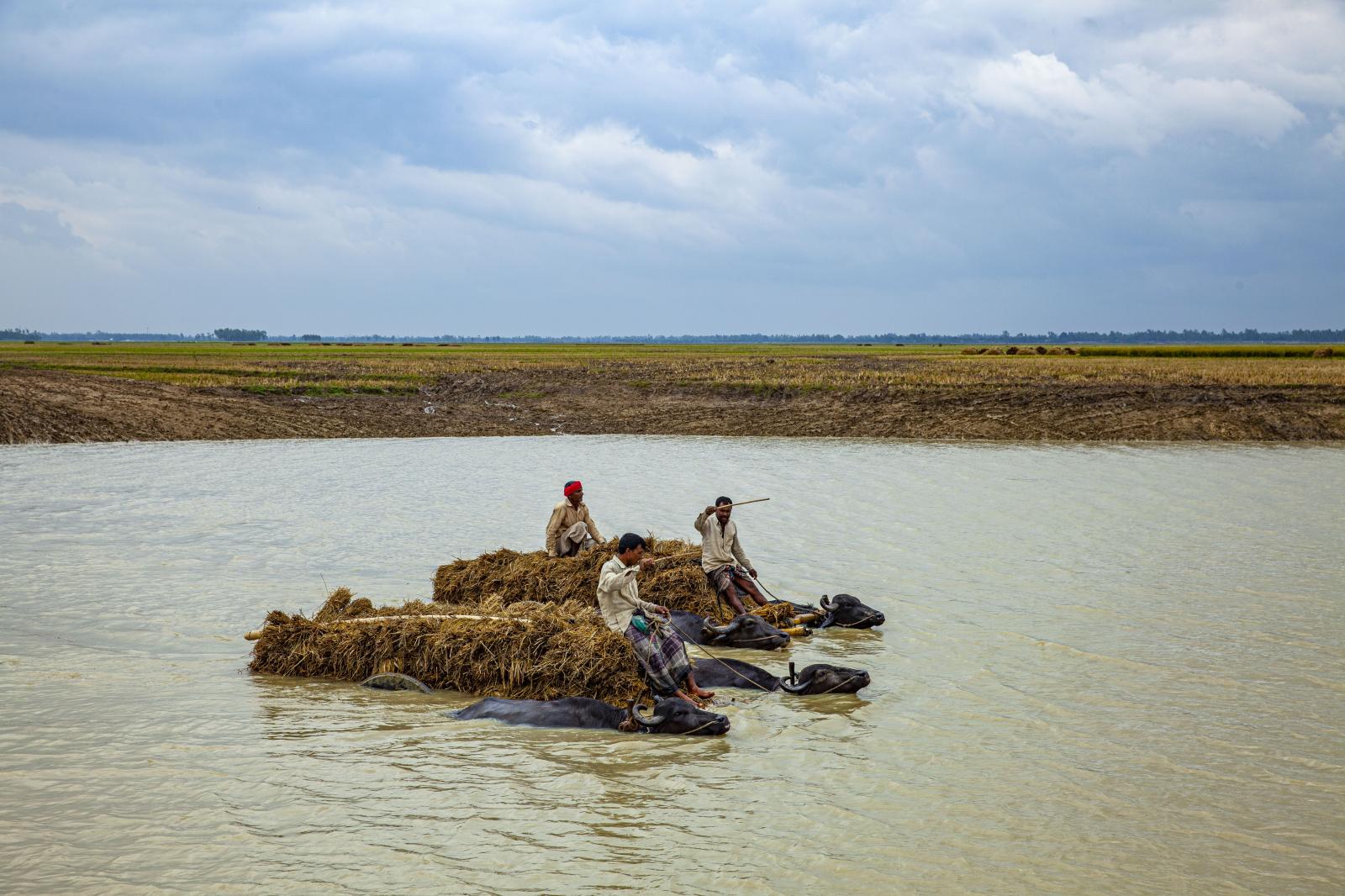Rural Rhythm of Chalan Beel