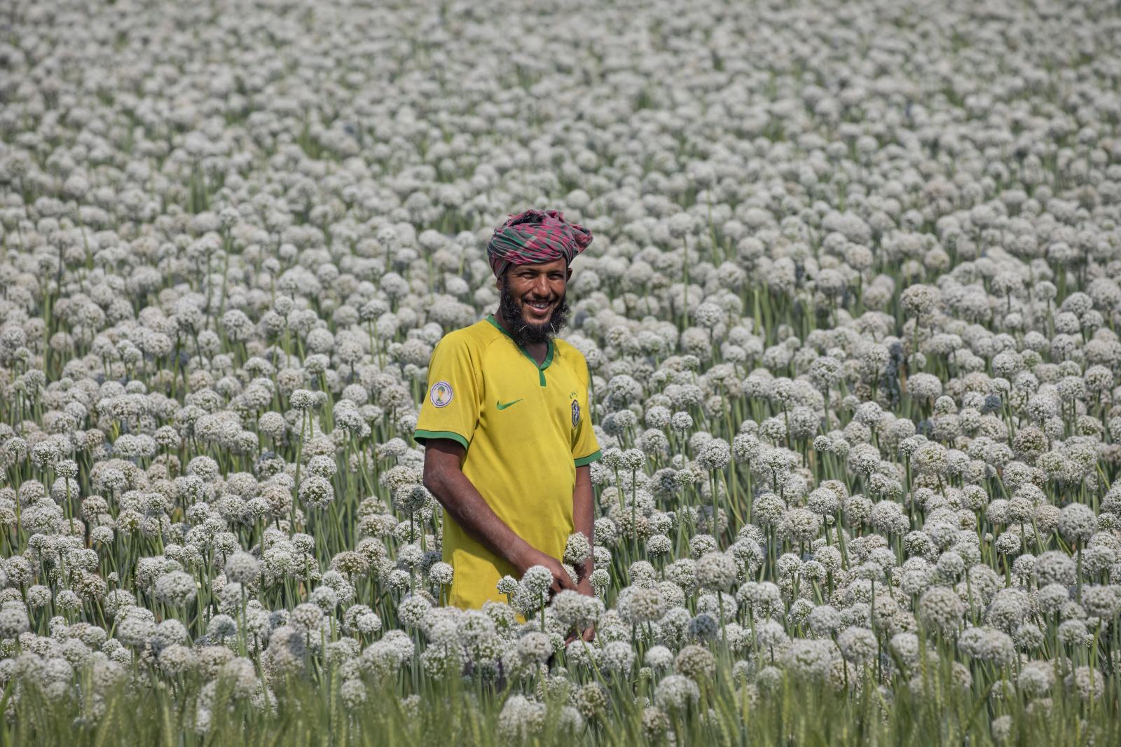 Smiles Amidst the Onions