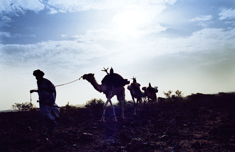  Traveling by foot and camel th...d villages. Bagzan, Niger 2005 