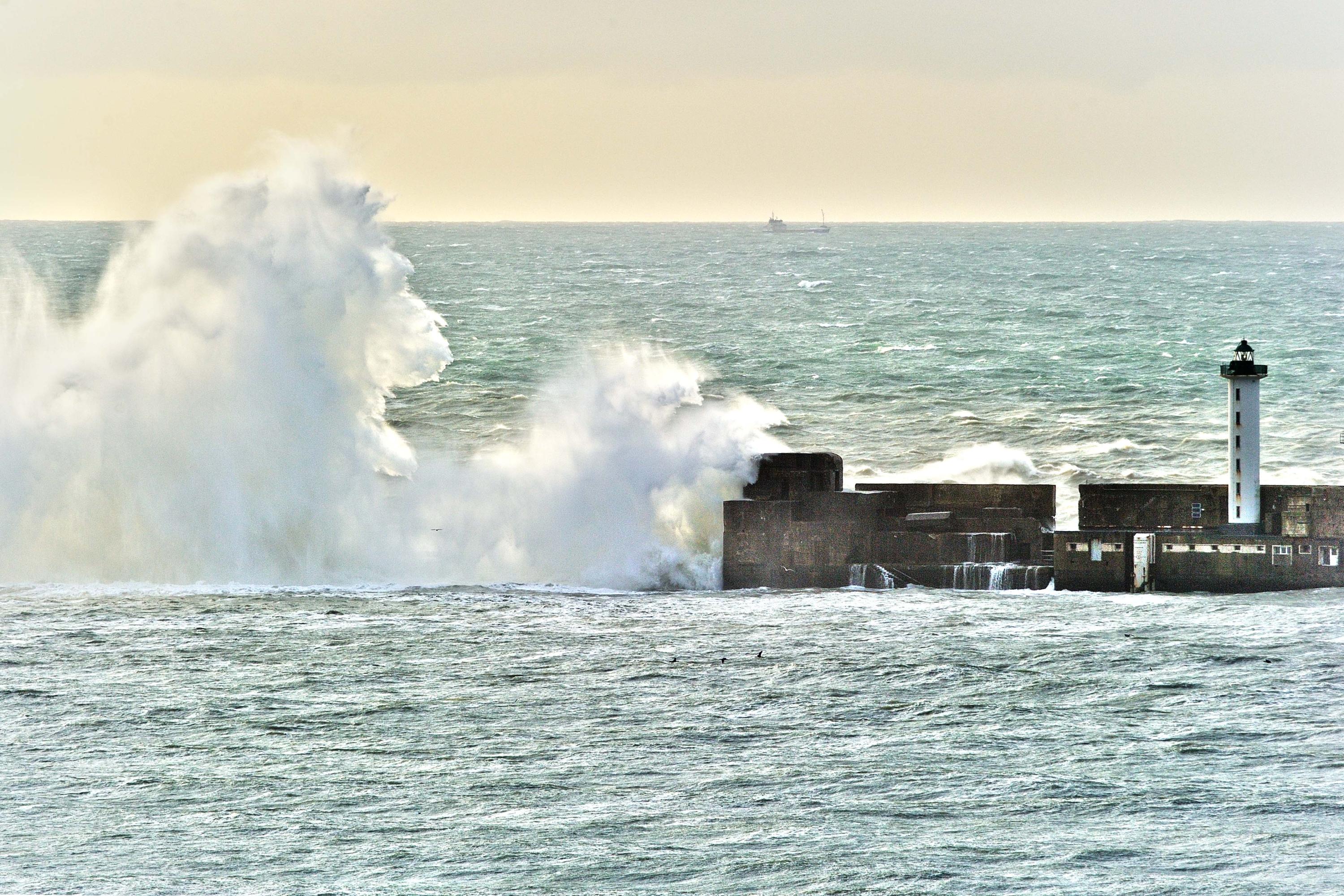 Art and Documentary Photography - Loading _DSC0062-3.jpg