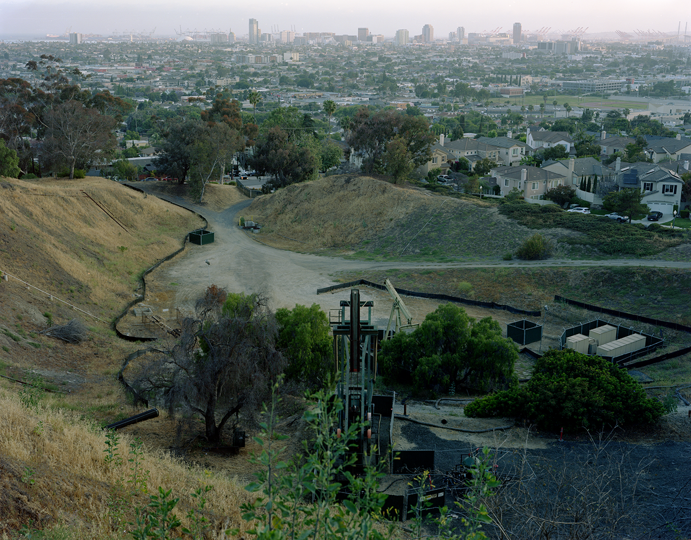 Meet Me on Signal Hill - 