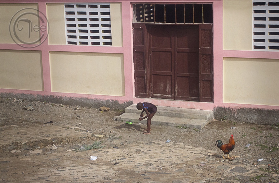 Haiti By Tamara Lee