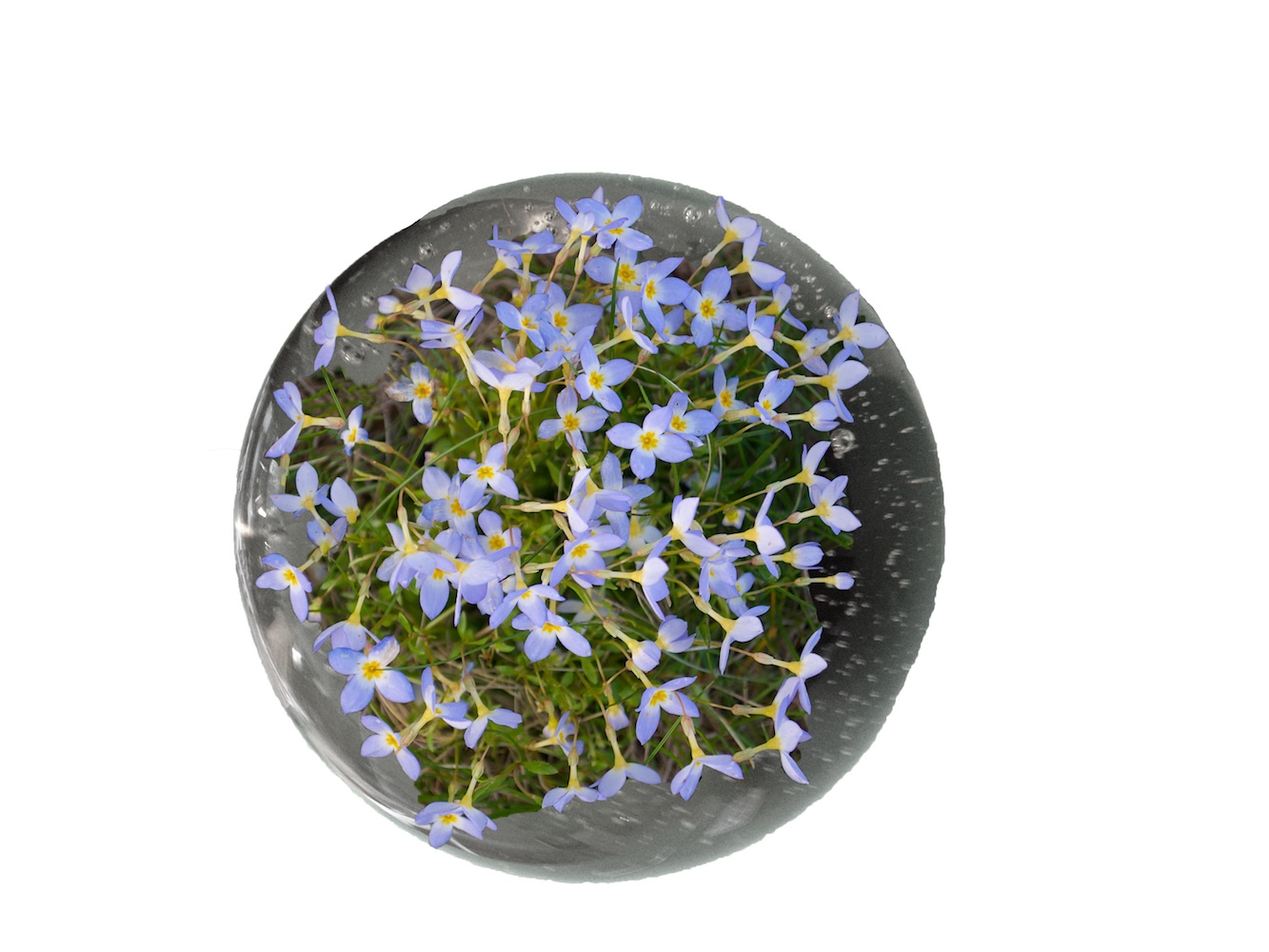 Art and Documentary Photography - Loading crystal_ball.jpg