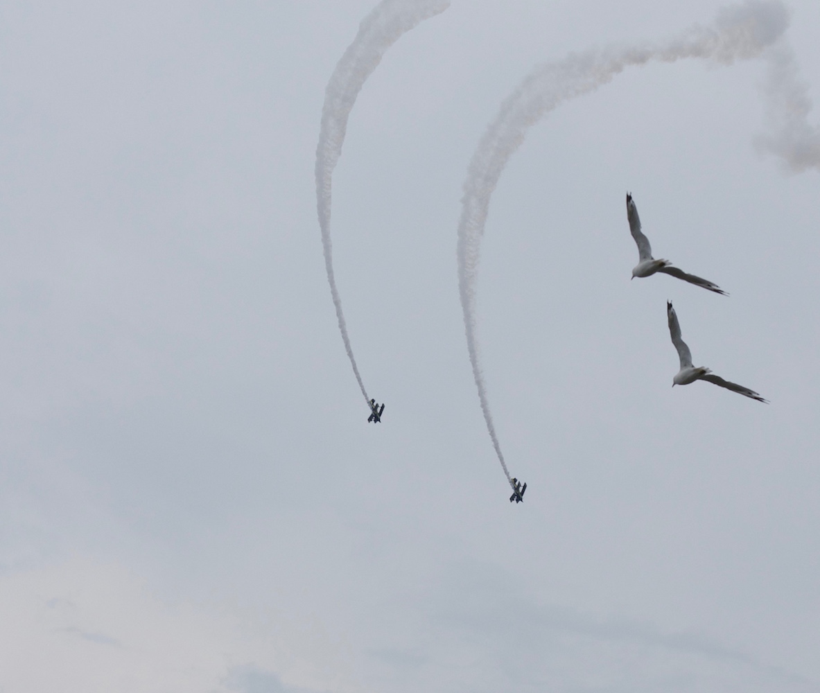 Art and Documentary Photography - Loading dive_bombers.jpg