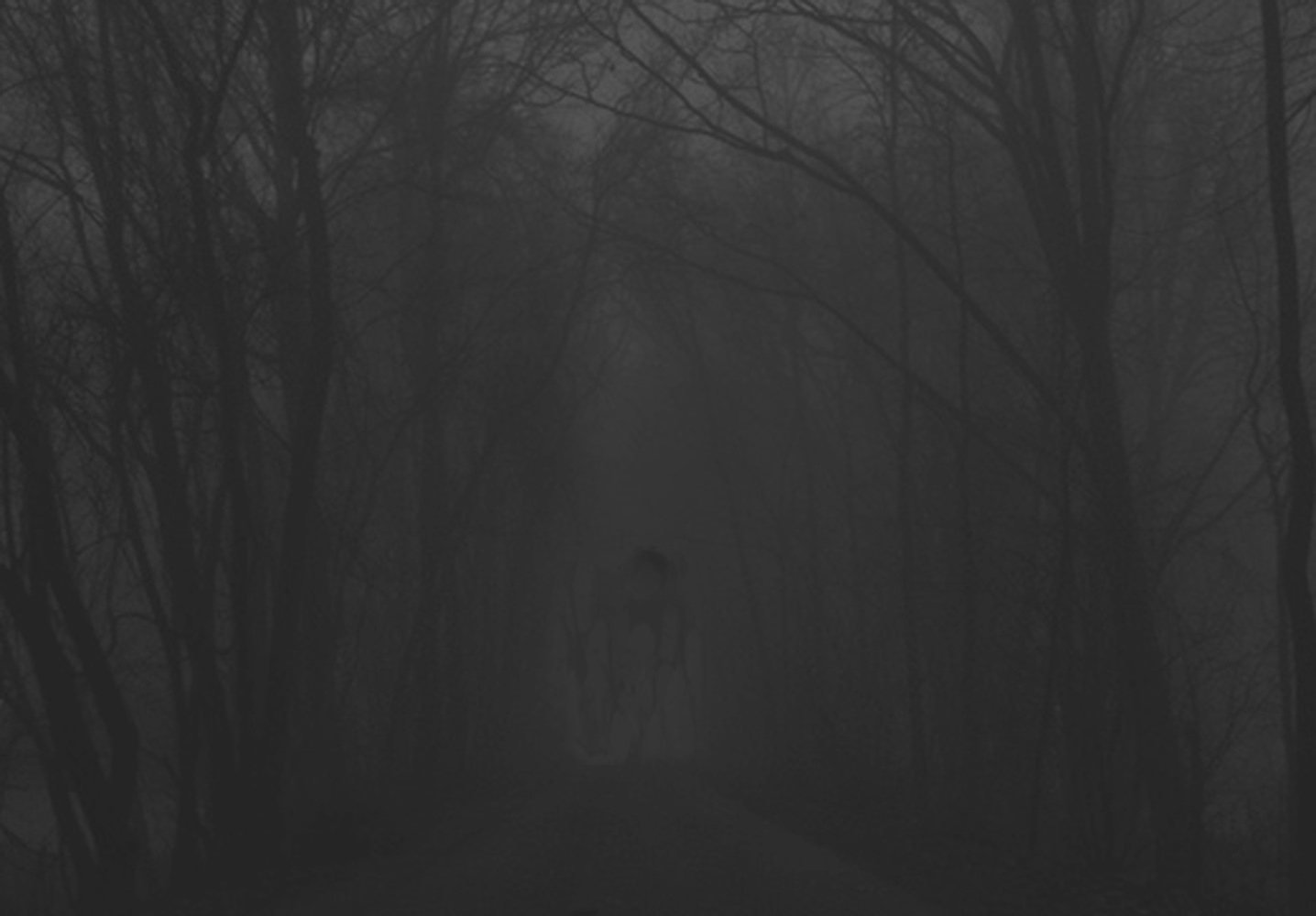 Art and Documentary Photography - Loading mornin_mist.ghosts.jpg