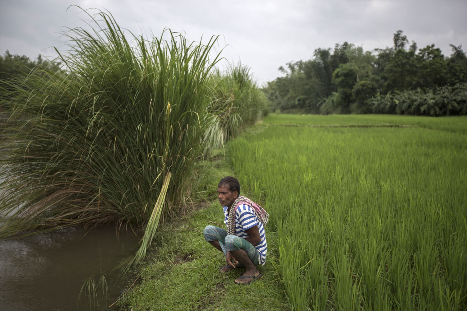 FROM NO MANS LAND TO THE UNKNOWN -                                 A Bangladeshi man who...