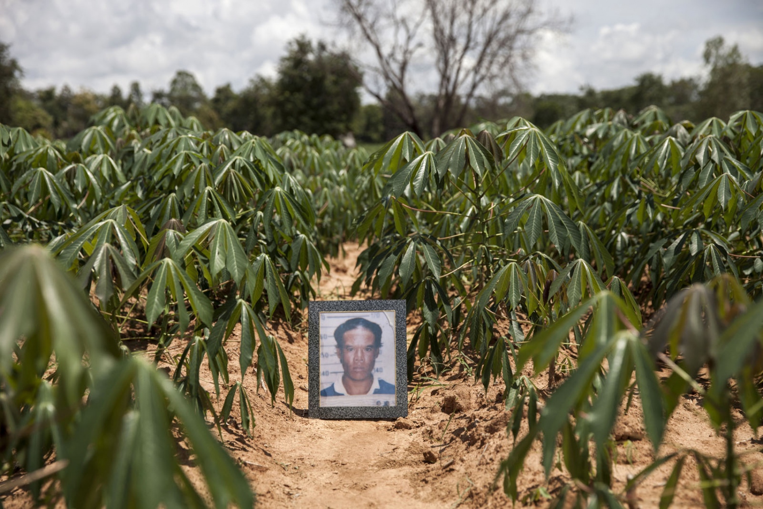 FOR THOSE WHO DIED TRYING -  Jun Boonkhunton was shot dead in a field near his...