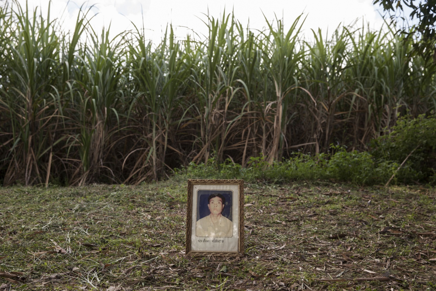FOR THOSE WHO DIED TRYING -  Samnao Srisongkhram, 38, was shot dead in a field near...