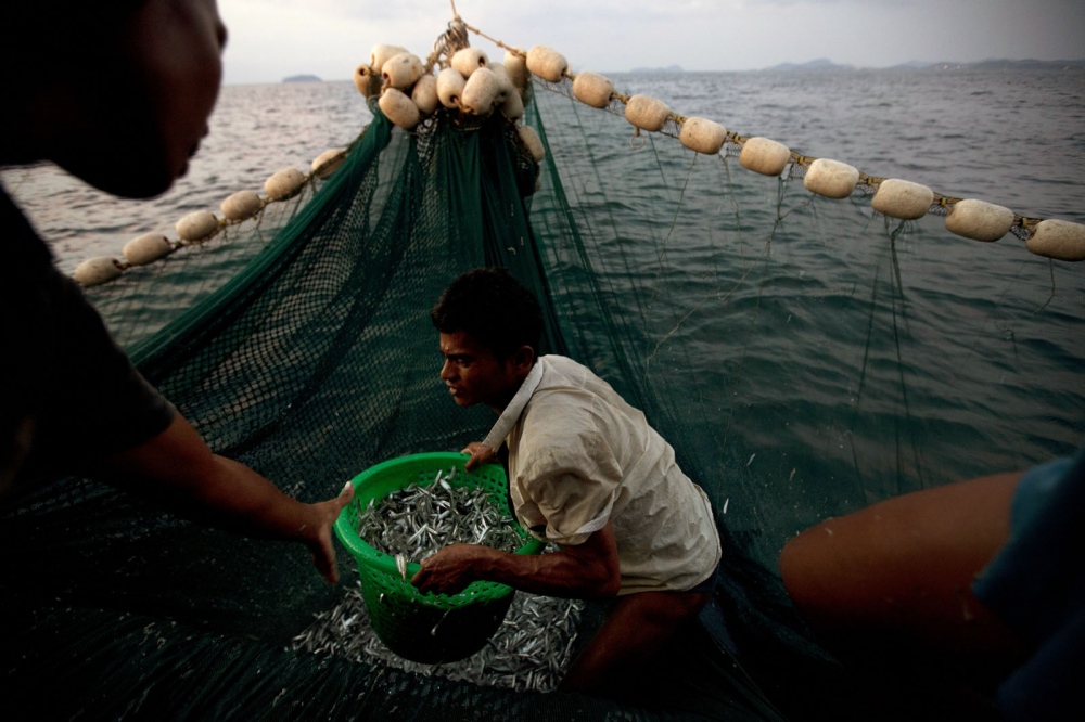 Image from SINGLES - Burmese fishermen working all night on a Thai trawler...