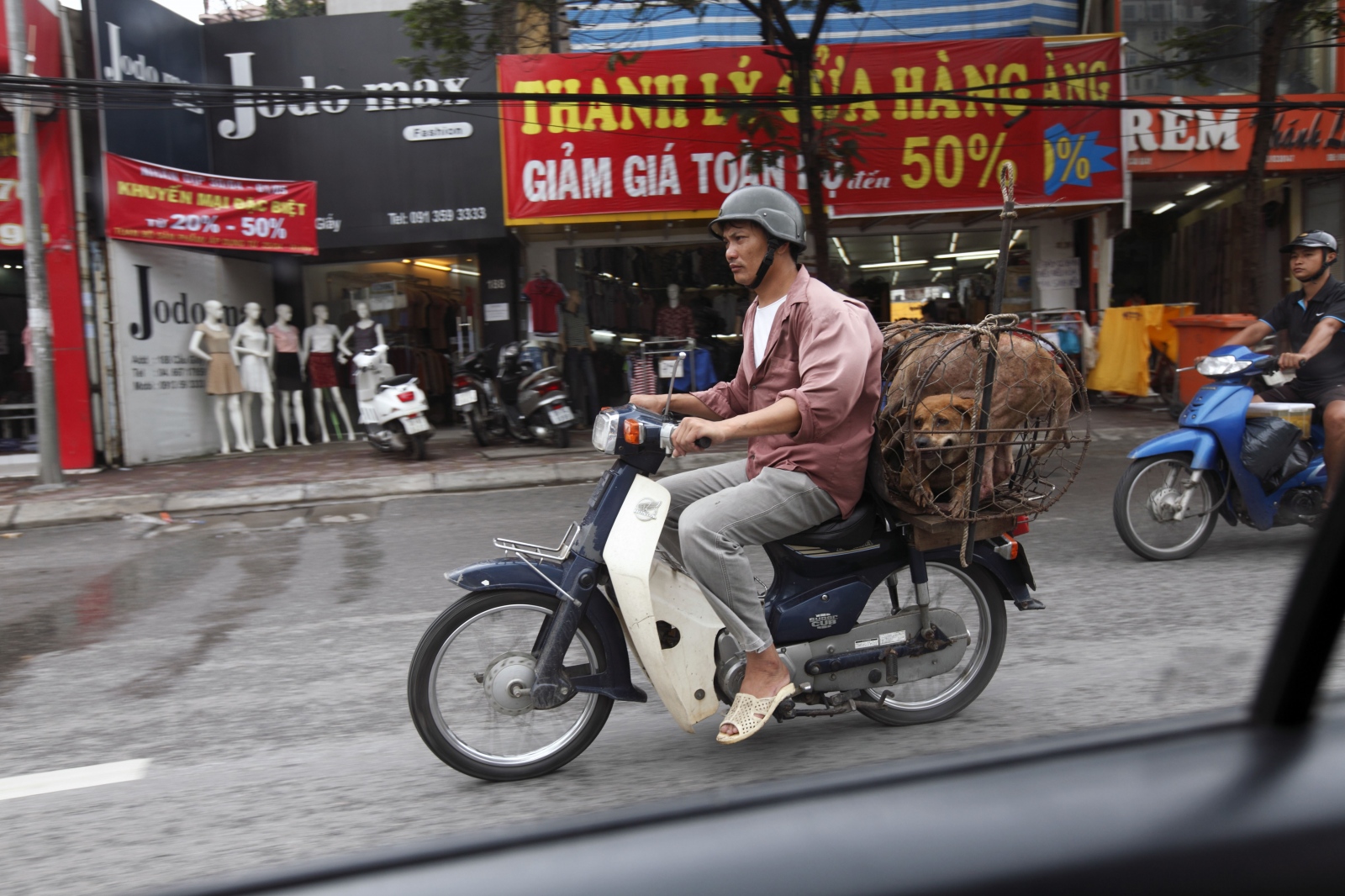 THAILAND'S ILLEGAL DOG MEAT TRADE - A man transports live dogs to a slaughter house to kill...