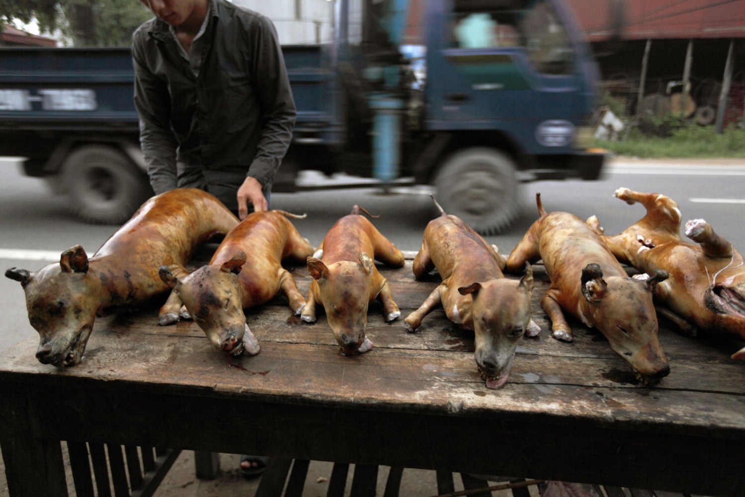 THAILAND'S ILLEGAL DOG MEAT TRADE - A street stall selling dog meat. Hanoi, Vietnam