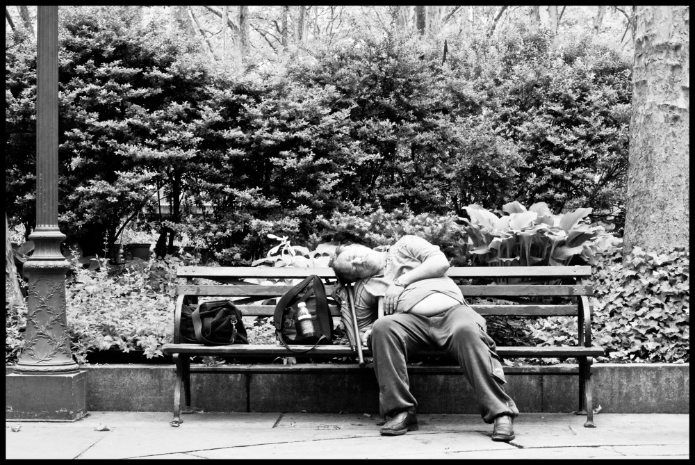 Art and Documentary Photography - Loading Bryant Park denizen.jpg