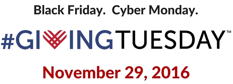 Scout Film Festival and #GivingTuesday