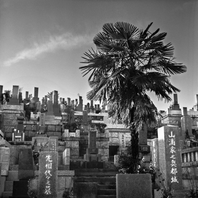 Nagoya Cemetery