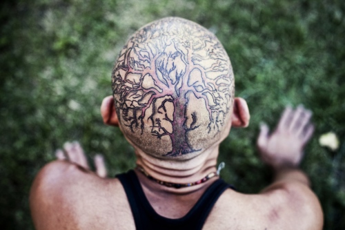 Image from COMMUNITY LIFE -                                                 Head of a...