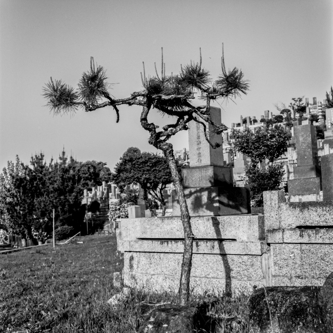 Nagoya Cemetery