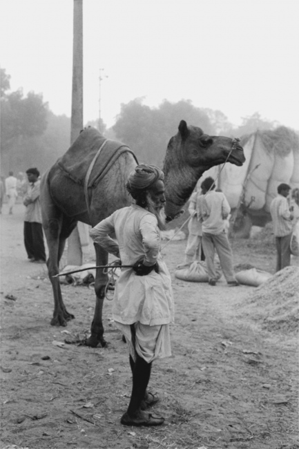  Man with Camel, Pushkar, India, November 2003 