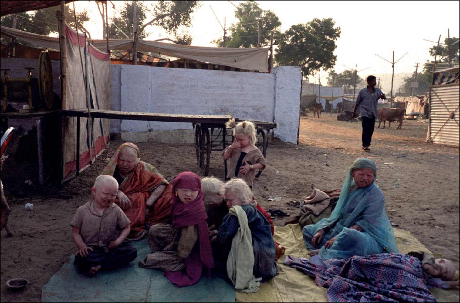 India -  Albino Family, Pushkar, India, November 2003   