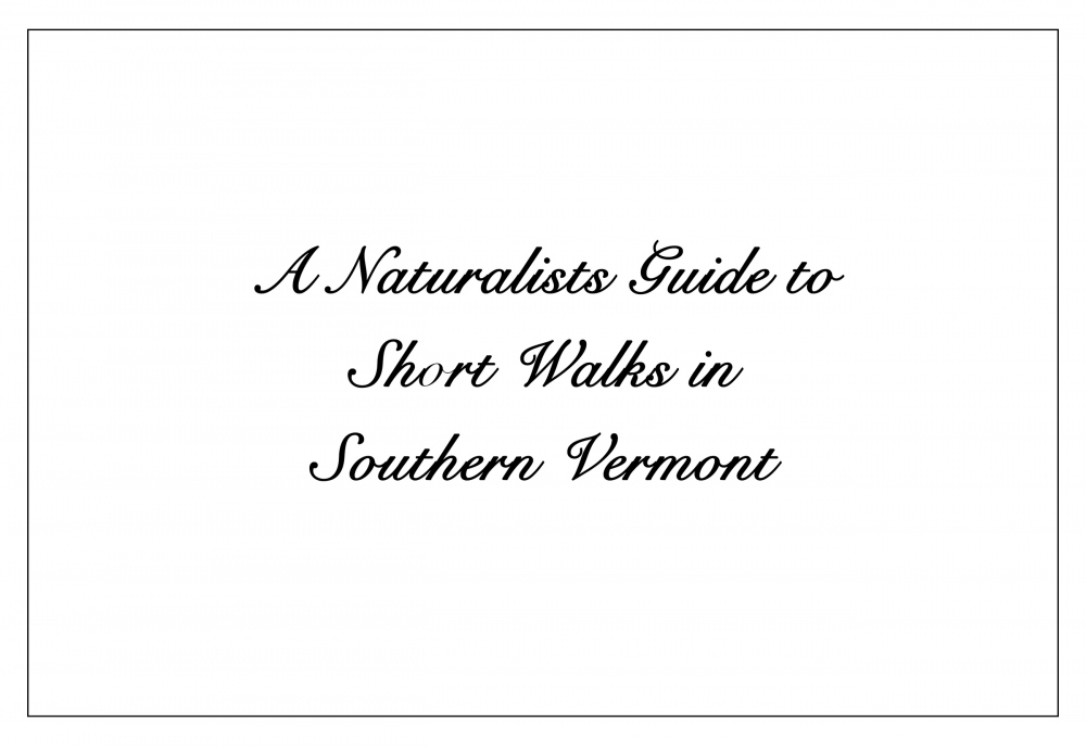 A Naturalist's Guide to Short Walks in Southern Vermont