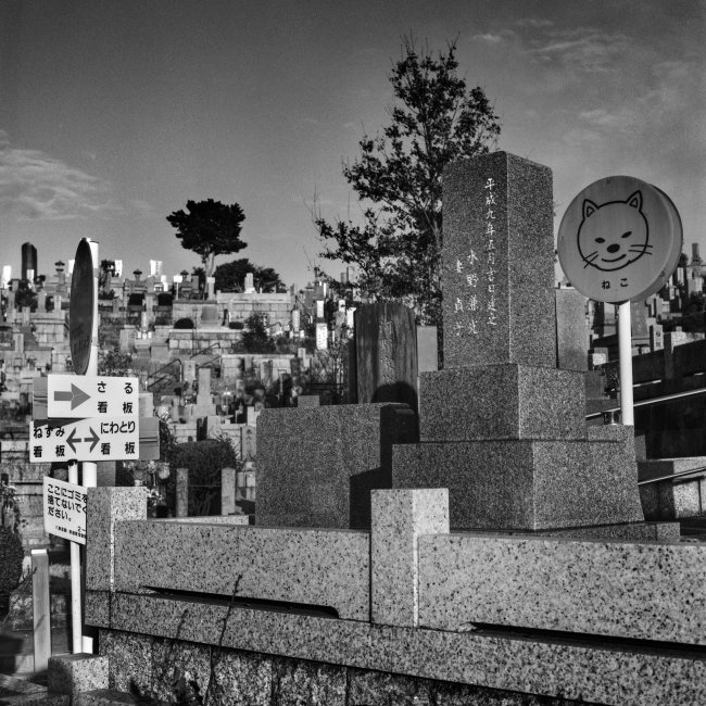 Nagoya Cemetery