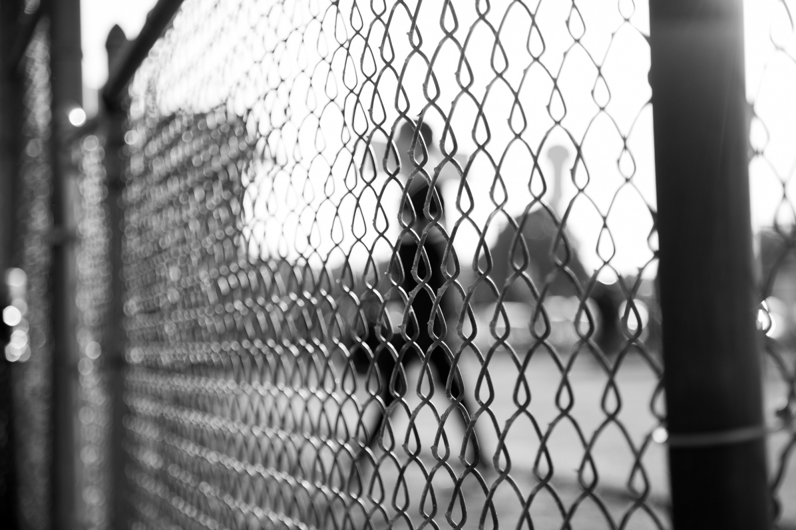 This Timeless Game - Player as seen through dugout chainlink fence.  