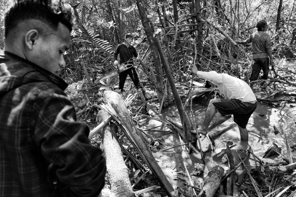 Photography image - Loading Bangka_LoRes_14.jpg