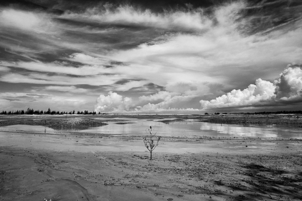 Photography image - Loading Bangka_LoRes_35.jpg