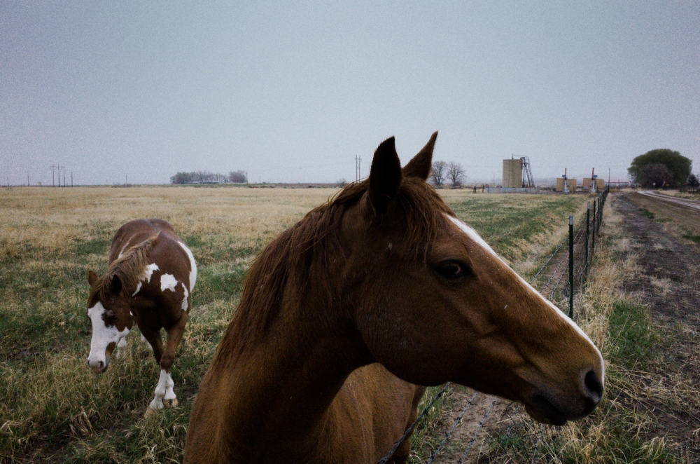 Louis Meeksâ€™ two horses are k...Wind River Indian Reservation. 