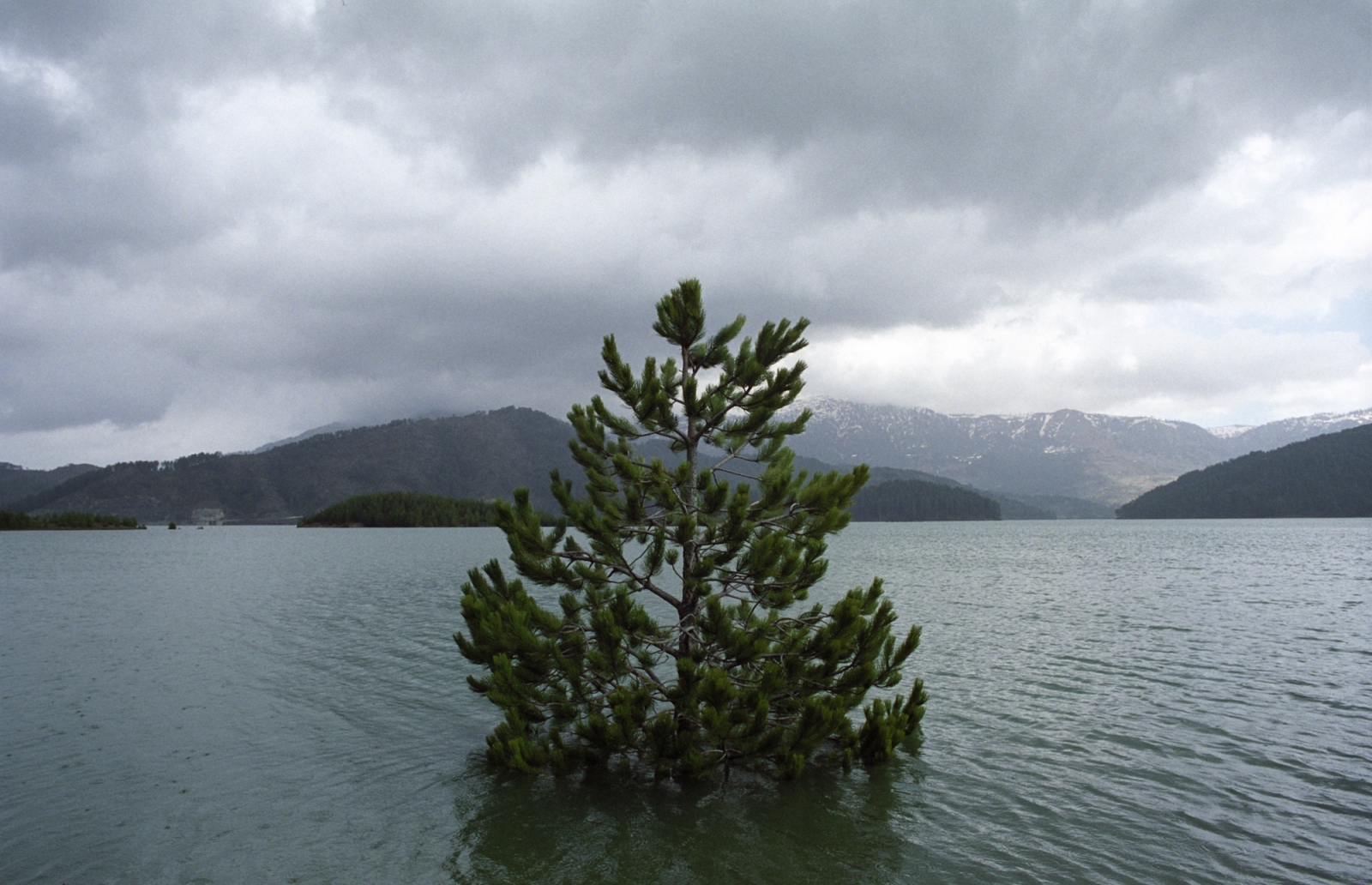 Art and Documentary Photography - Loading Dimitri_MELLOS_Greece_002.jpg