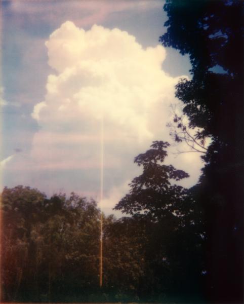 Image from Tucked into the Garden Bed - Thunderhead