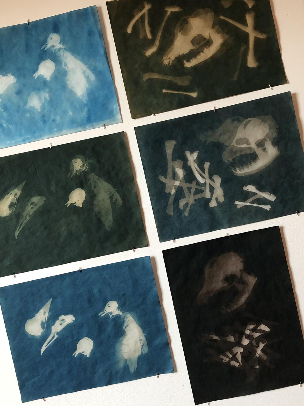 Washing Away the Blues: Cyanotype Workshop at CPW