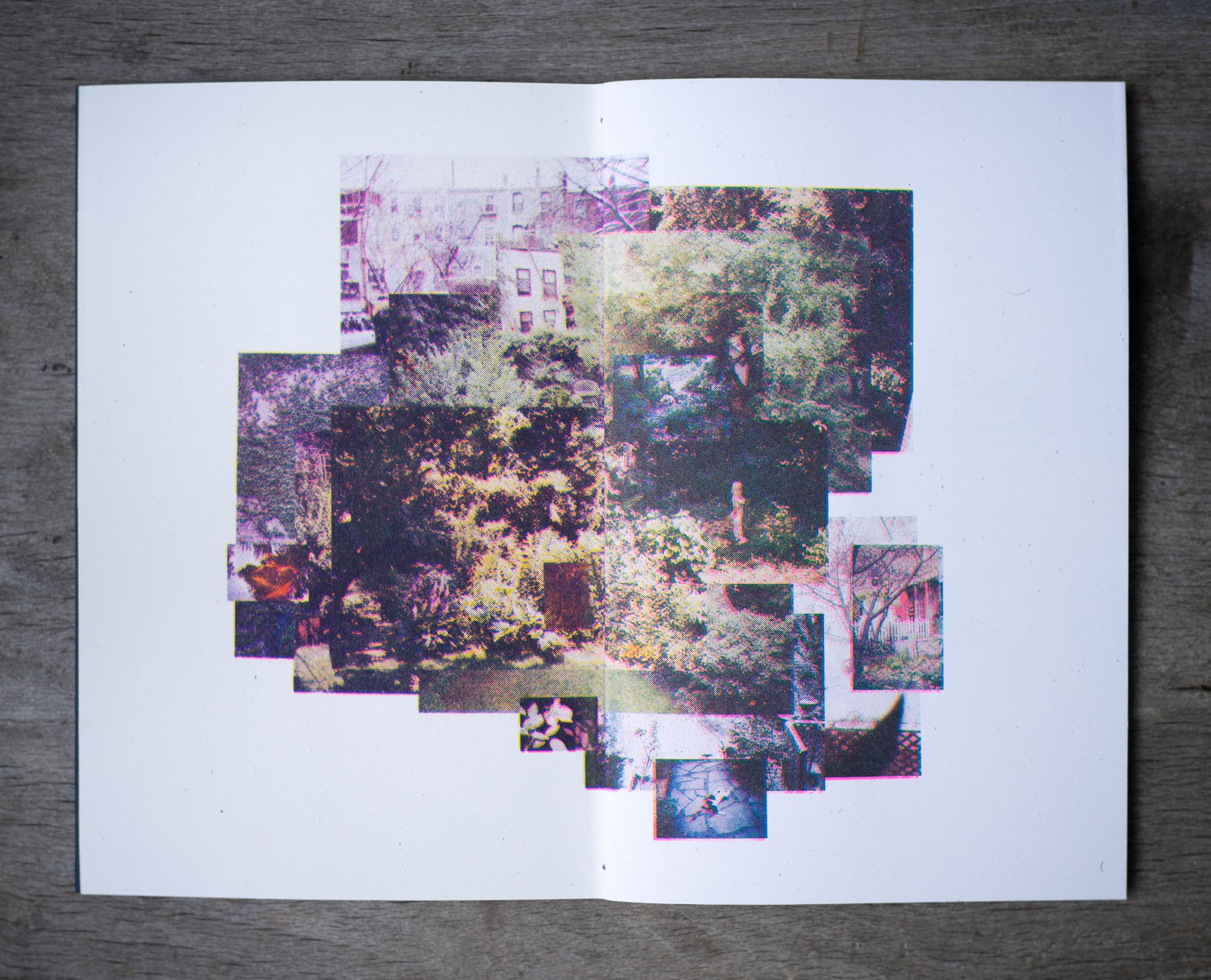 Book Launch - The Perennial Garden: 37 Dreams