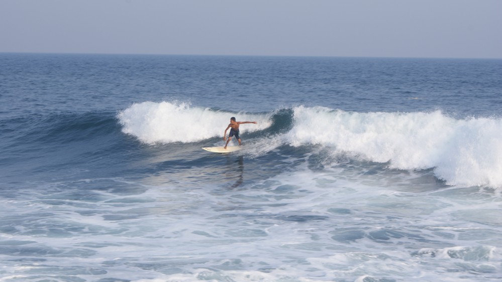 Surfs up!
