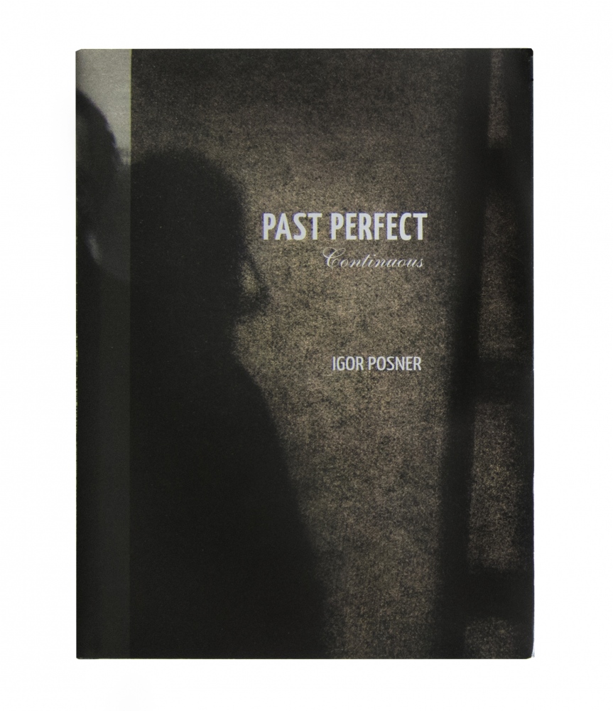 Igor Posner: Past Perfect Continuous - Past Perfect Continuous By Igor Posner Red Hook Editions,...