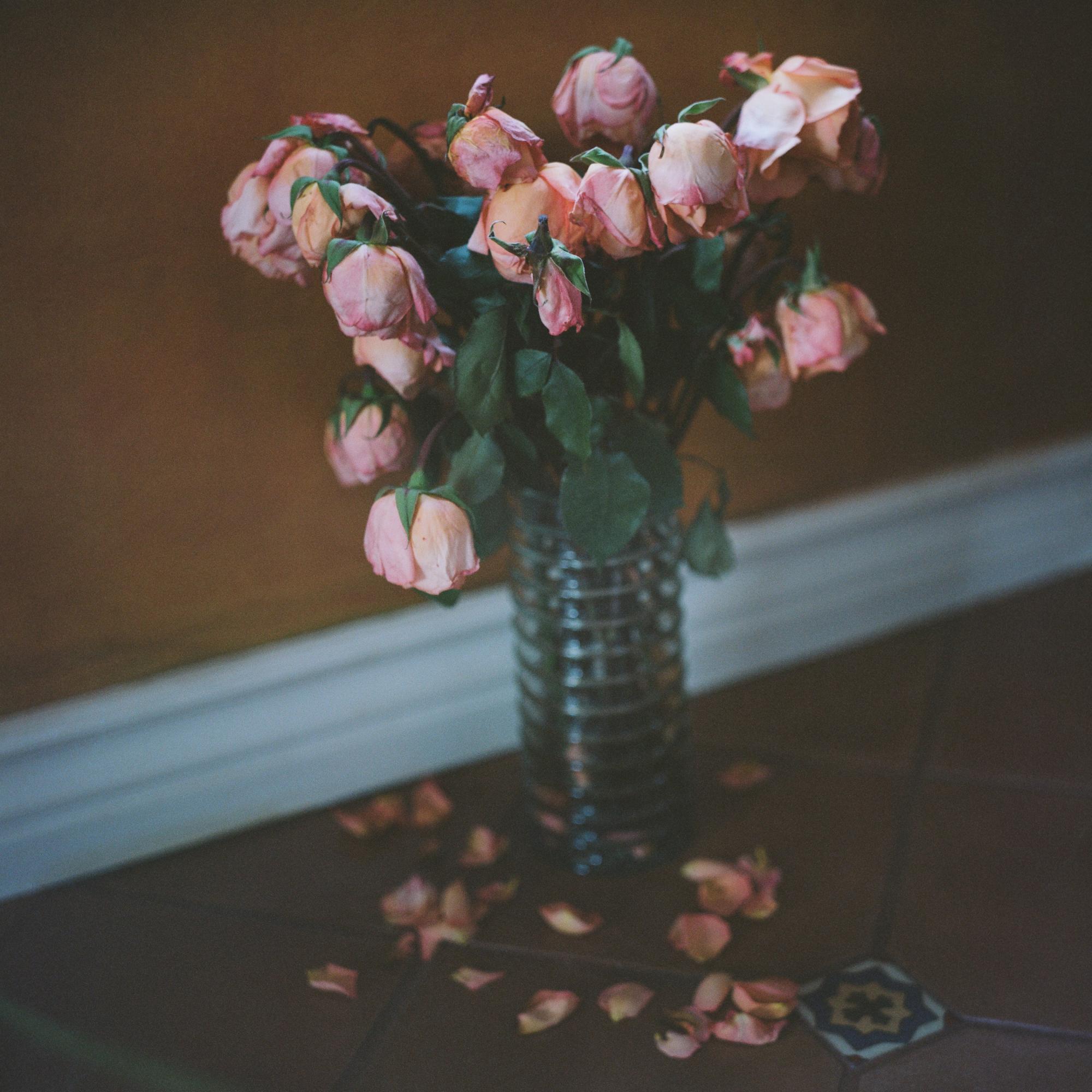 Amamos tantos las flores, que las matamos -   
